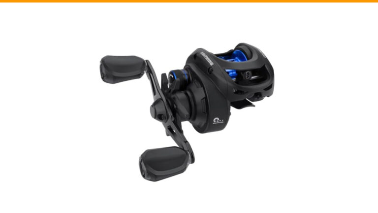 Best Baitcasting Reel for Worm Fishing: Top Picks for Precision Casting