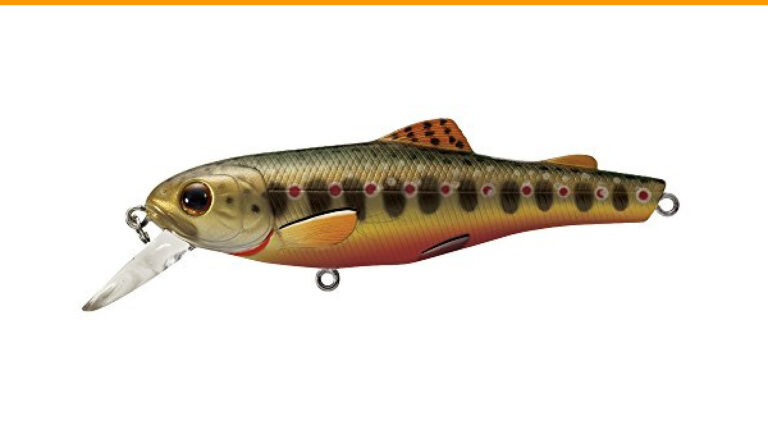 Best Brook Trout Ice Fishing Lures: Top Picks for Successful Catches
