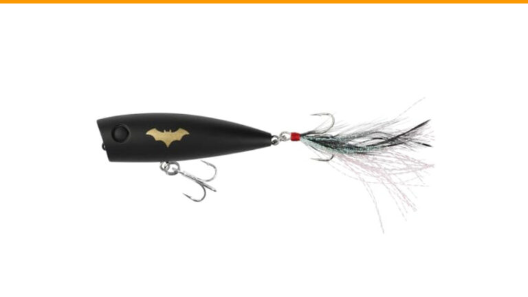 Best Fishing Lures for Sunny Days: Top Choices for Every Angler