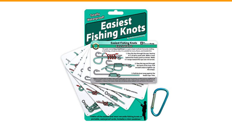 Best Fly Fishing Gear For Beginners: Ultimate Guide