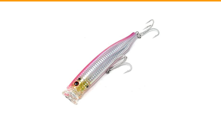 Best Lures for Cape Coral Canal Fishing: Top Picks for Success