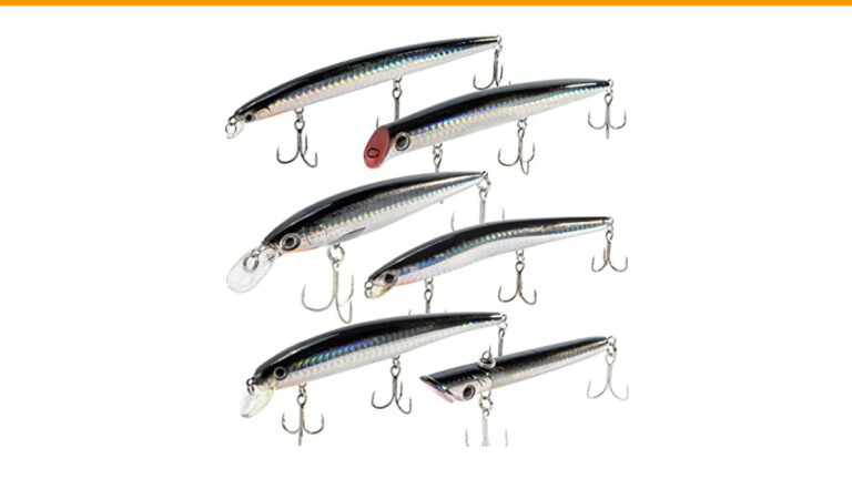 Best Lures for Inshore Saltwater Fishing: Top 10 Must-Have Baits