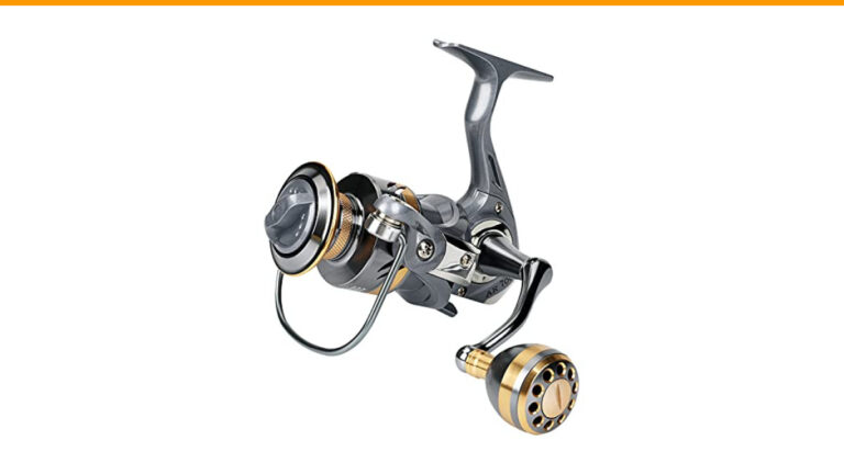 Best Reel Size for Salt Water Fishing: Top Picks for Every Angler