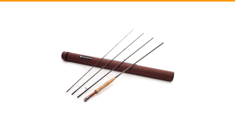 Best Rod Action for Trout Fishing: Top Picks for Perfect Casts