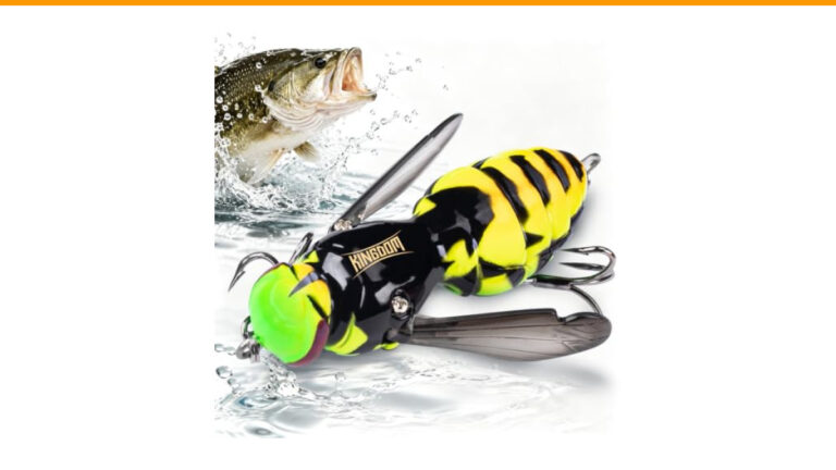 Best Saltwater Lures for Beach Fishing: Top Picks for Success