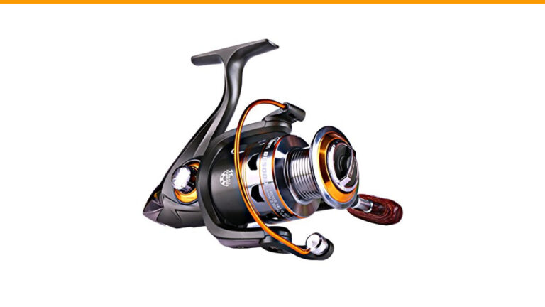 Best Spinning Reel for Sturgeon Fishing: Top 5 Durable and Lightweight Choices