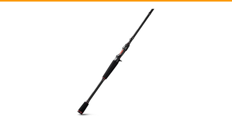 Difference between Baitcasting And Spinning Rods: Expert Guide