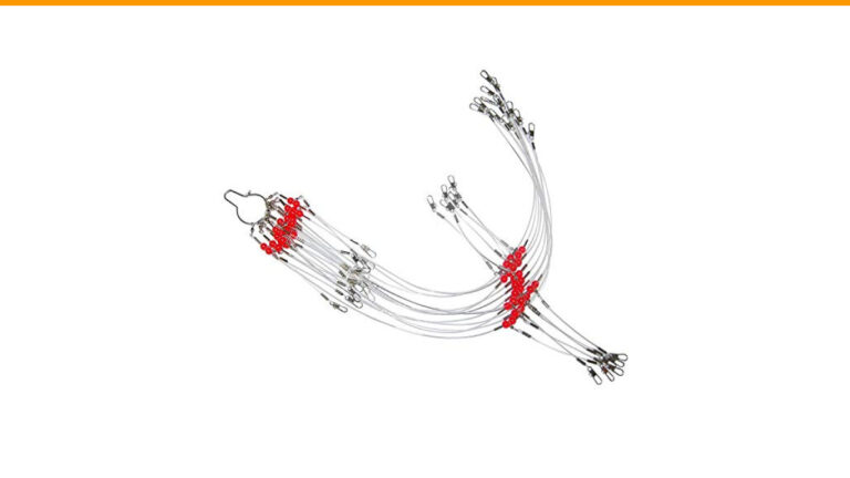Explore These 5 Essential Fishing Rigs Every Beginner Should Try