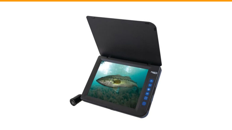 Top 5 Aqua View Cameras That Will Change Your Underwater Experience