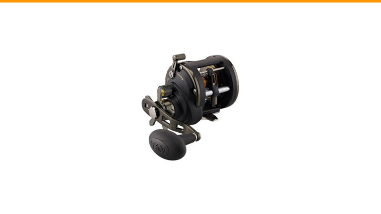 Top 5 Level Wind Fishing Reels That Will Change Your Angling Game