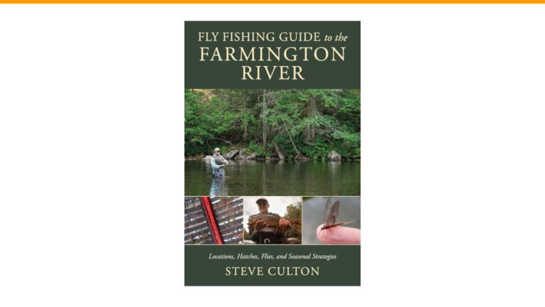 Unlocking the Secrets: How to Read a River for Fishing Success