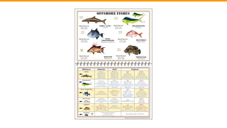 What are the Best Flats Fishing Destinations in Florida?
